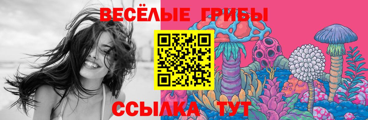 Галлюциногенные грибы MAGIC MUSHROOMS  Вход с VPN  Псилоцибиновые грибы Psilocybine cubensis  Михайловск 
